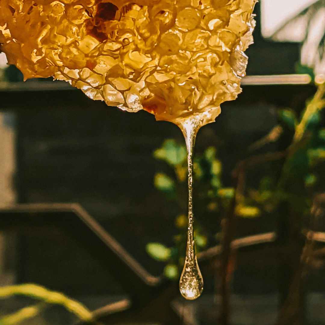 Le miel, l'ingrédient phare et nourrissant pour la peau
