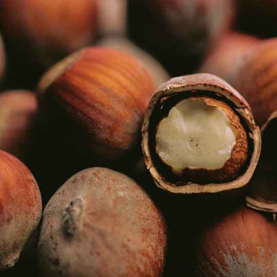 Huile de Noisette Bio