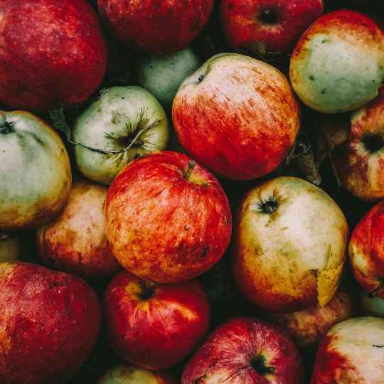 Huile de Pépins de Pomme Bio