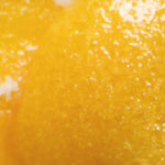 Exfoliant Corps Nourrissant