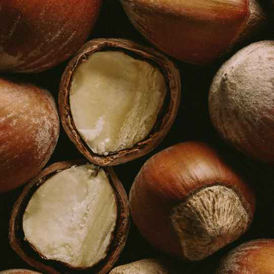 Extrait de Noisette biologique 100% naturel
