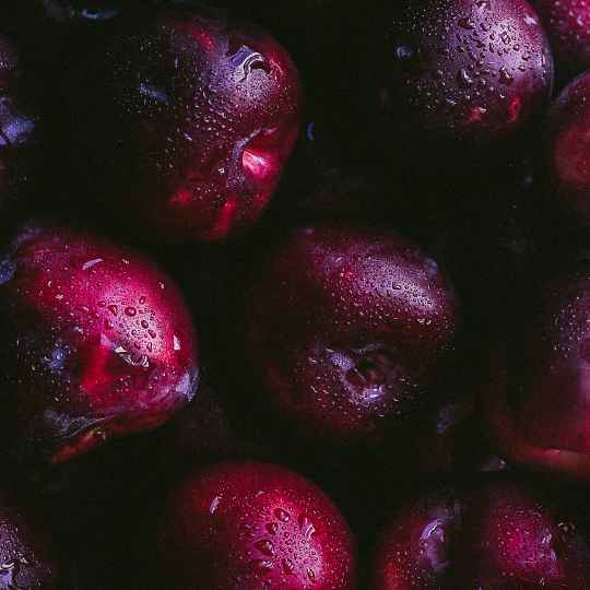 Huile d'Amandon de Prune Bio